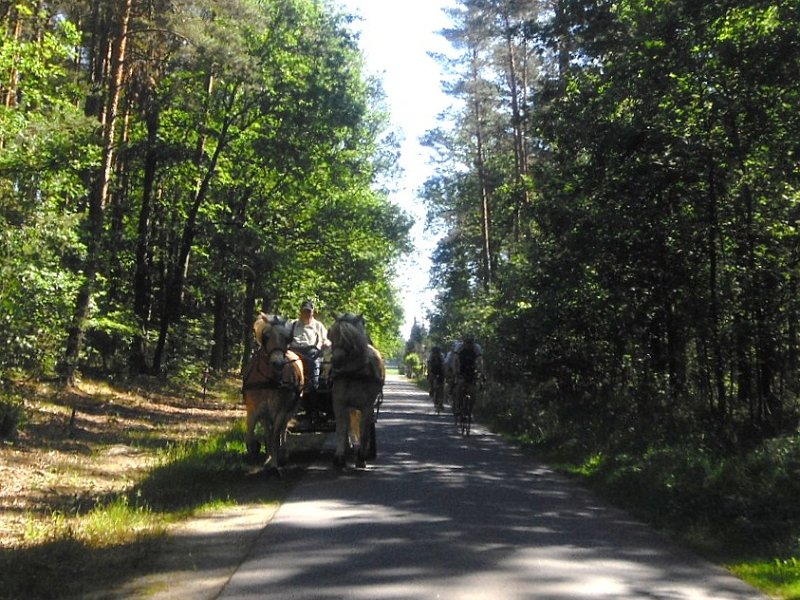 RTF Altwarmbuechen 2011 039